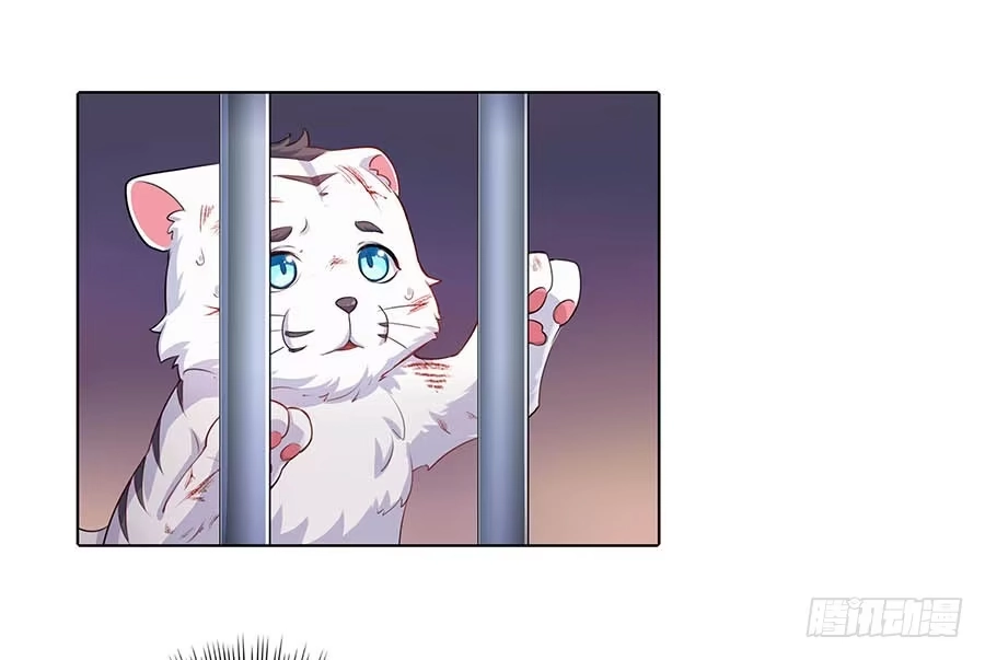 《茶楼浮生梦》019青楼调情 第52页