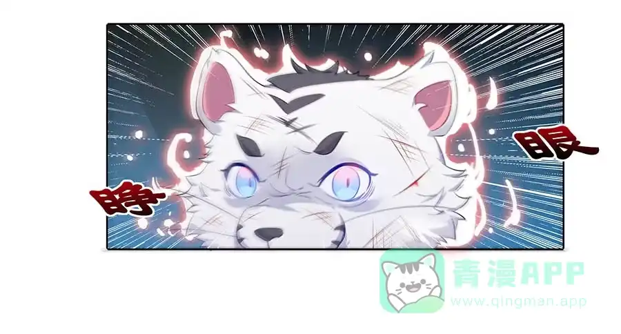 《茶楼浮生梦》020血光之灾 第36页