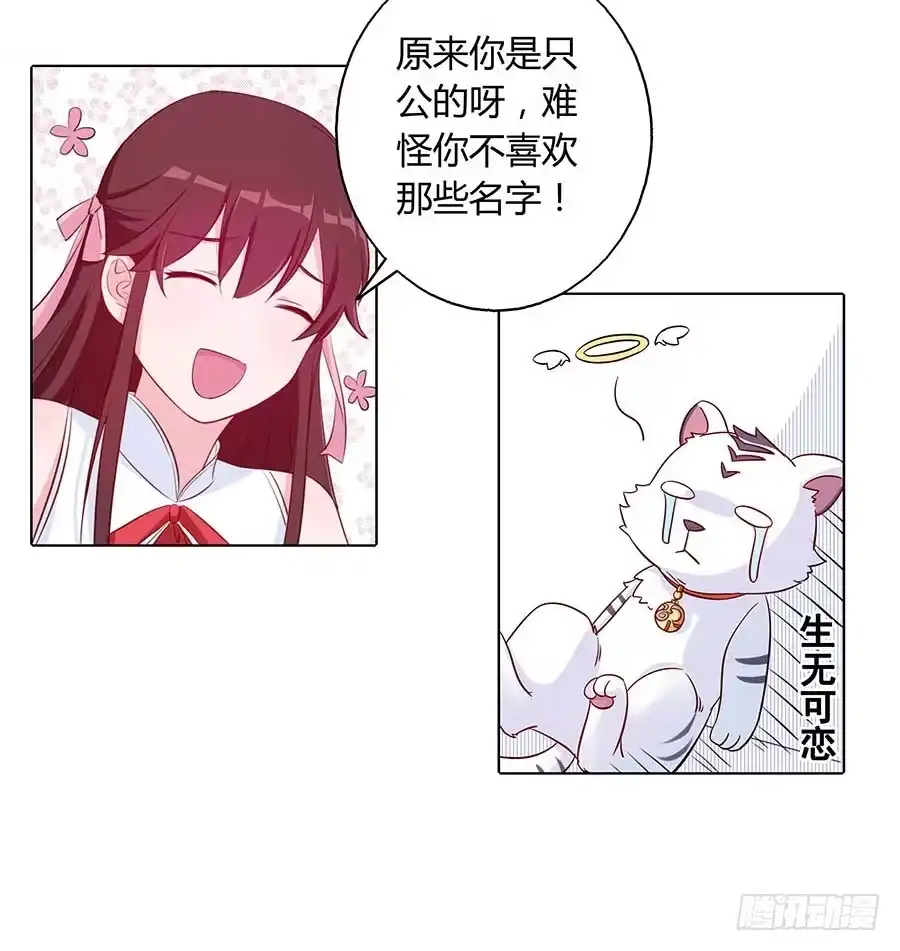 《茶楼浮生梦》023匪夷所思 第33页