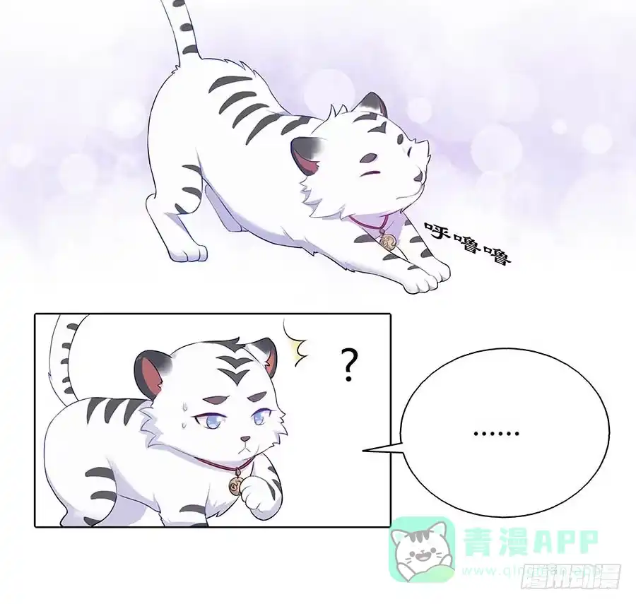 《茶楼浮生梦》023匪夷所思 第16页