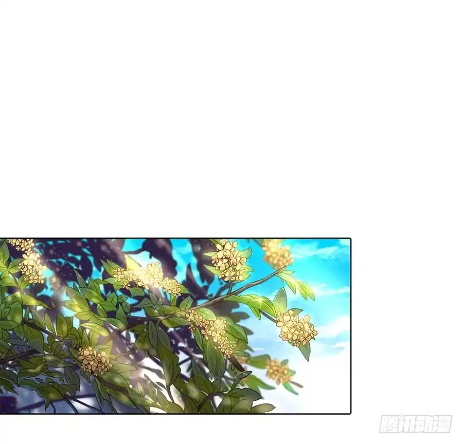 《茶楼浮生梦》036看不透的心 第22页