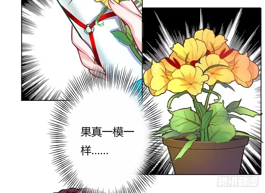 《茶楼浮生梦》052护花使者 第50页