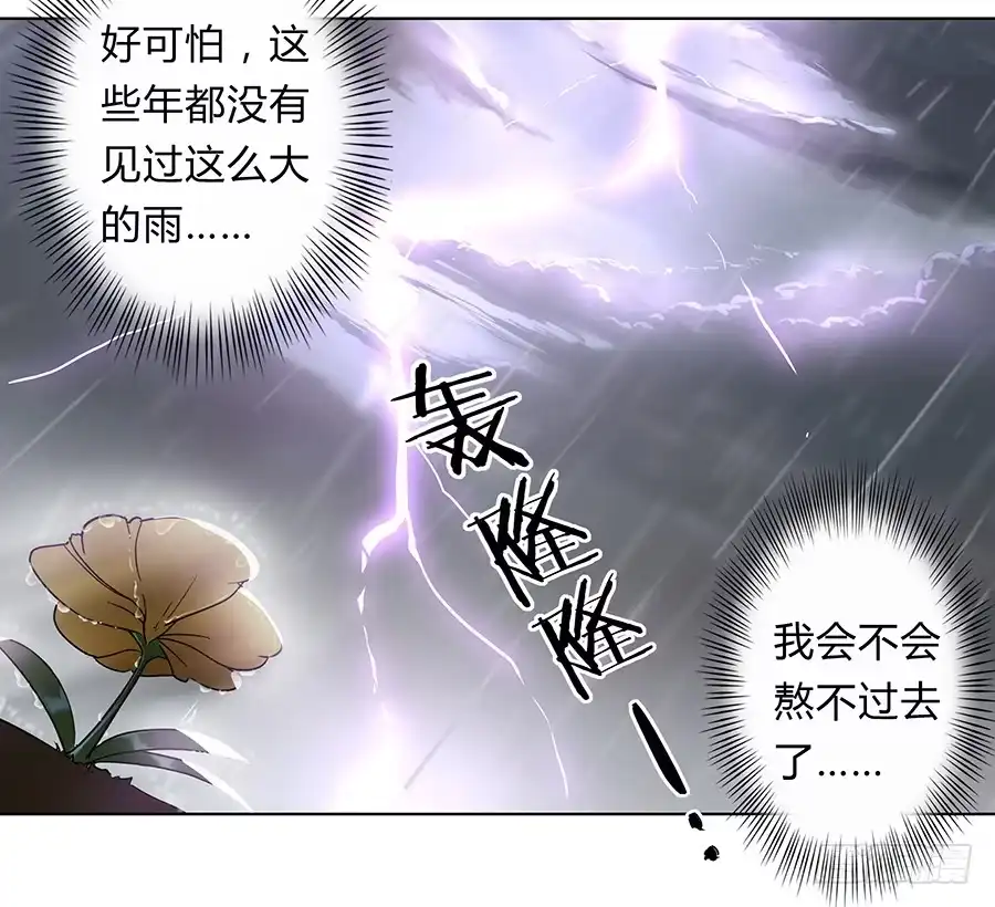 《茶楼浮生梦》065雨中相遇 第57页