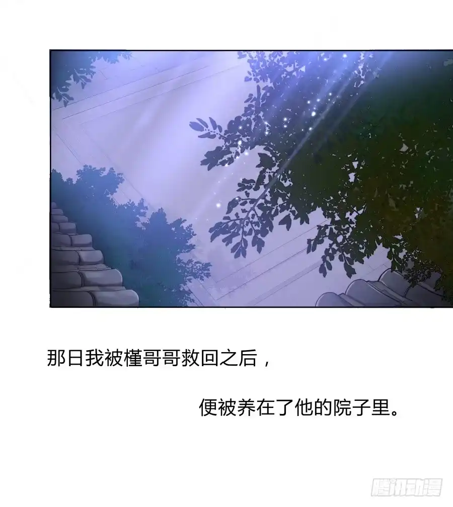 《茶楼浮生梦》066水落石出 第2页