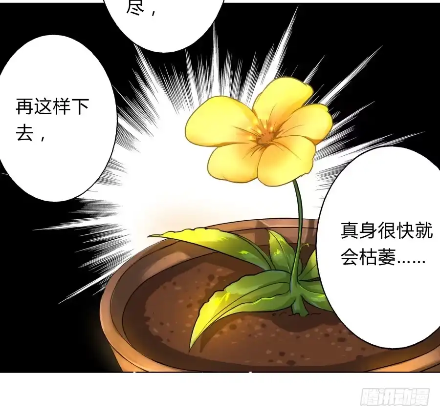 《茶楼浮生梦》067惊鸿一瞥 第9页