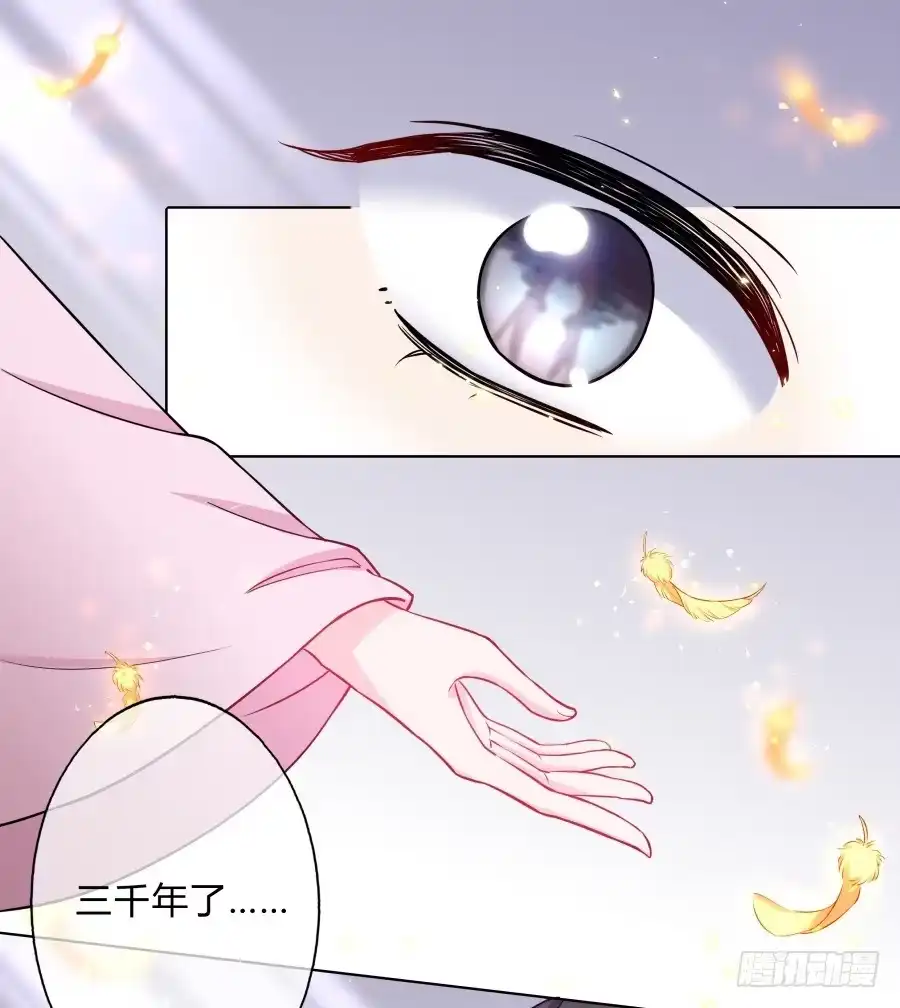 《茶楼浮生梦》078忘不了的那个人 第5页