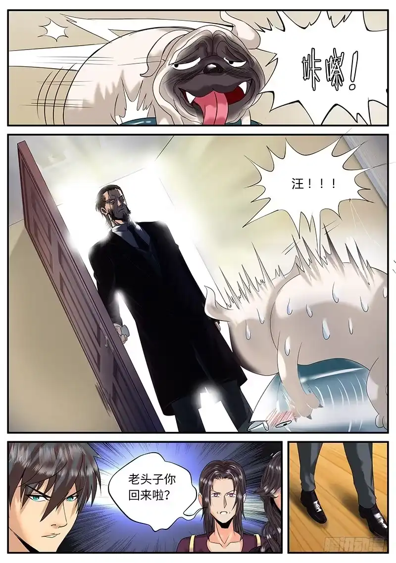《超级兵王在都市》一家之主 第5页