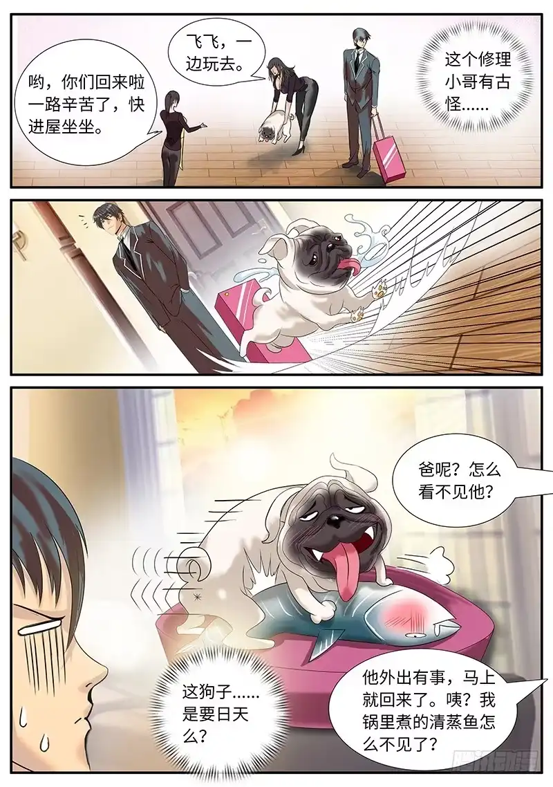 《超级兵王在都市》一家之主 第4页