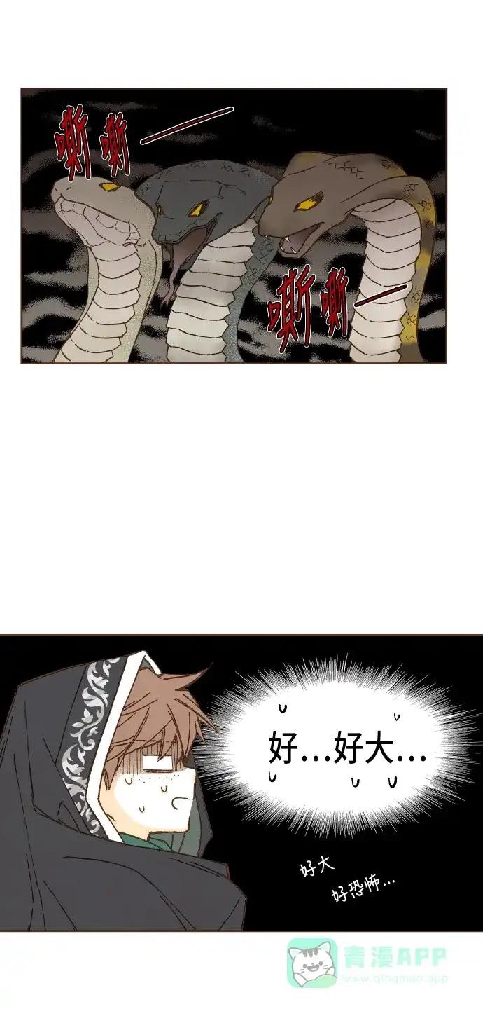 《成龙补习班》第56话 第37页