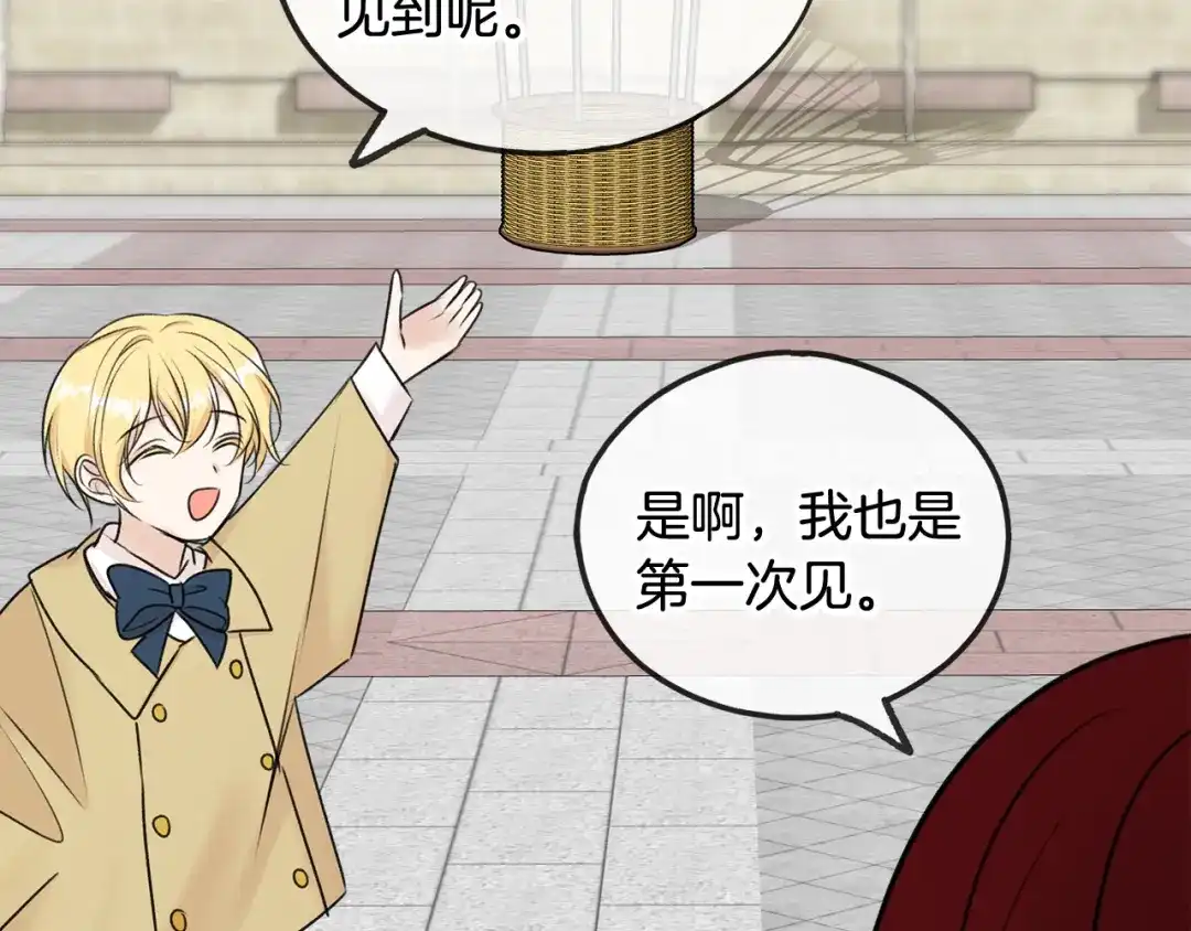 《成为伯爵府的家教》第41话 不属于我 第100页