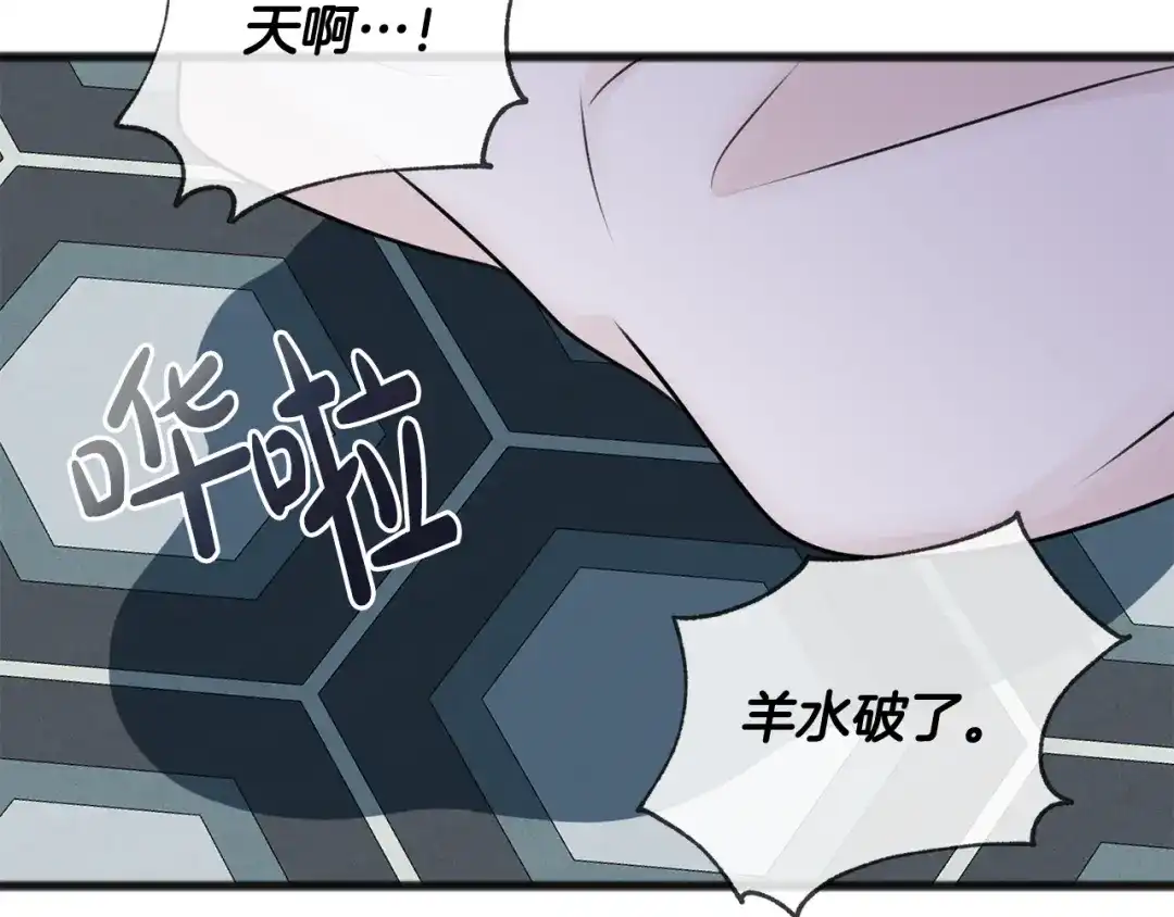 《成为伯爵府的家教》第44话 安多拉临产 第100页
