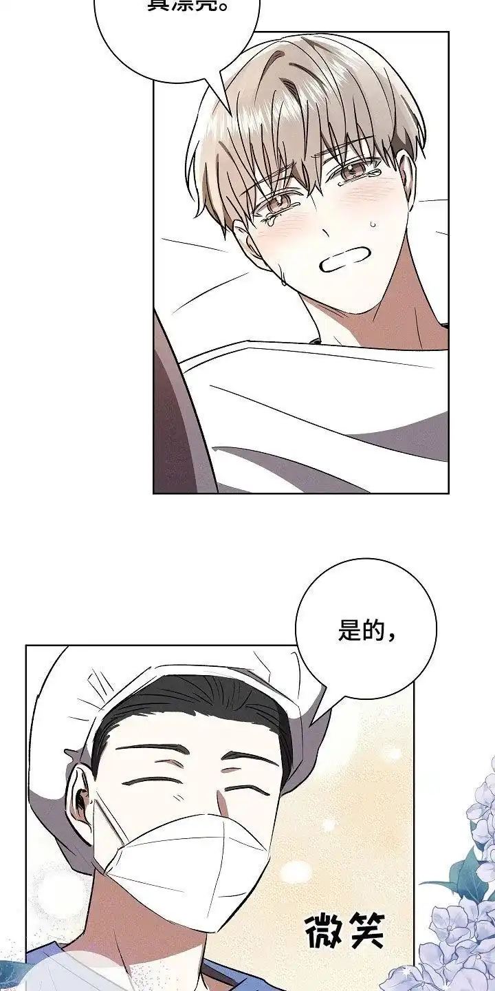 成为皇太子妃 第106话 第10页