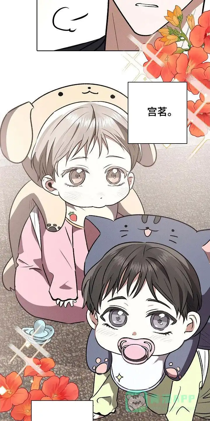 成为皇太子妃 第107话 第11页