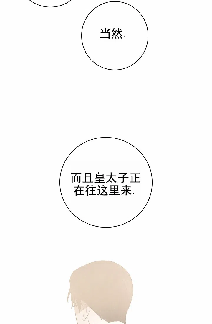 成为皇太子妃 第13话 第35页