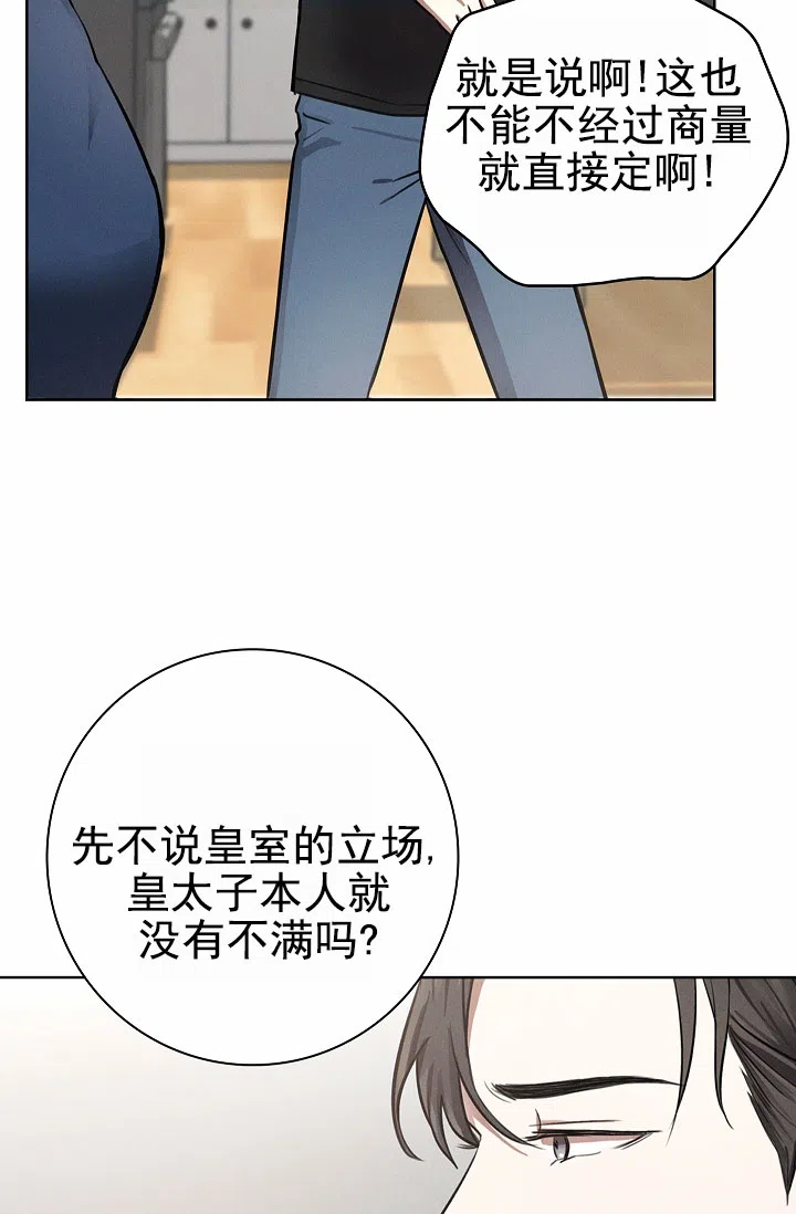 成为皇太子妃 第15话 第45页