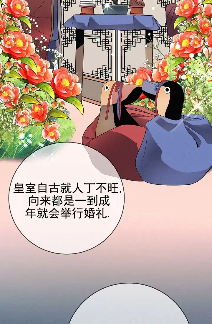成为皇太子妃 第15话 第37页