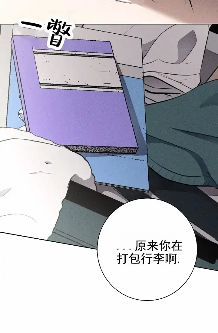 成为皇太子妃 第17话 第28页