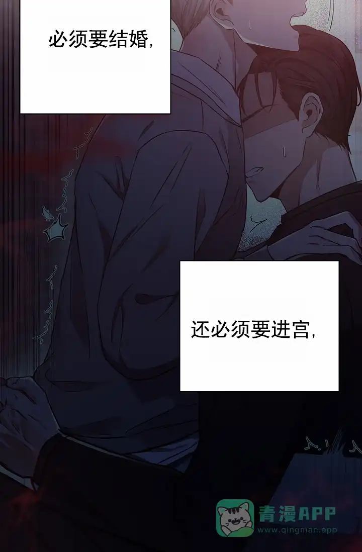 成为皇太子妃 第18话 第41页
