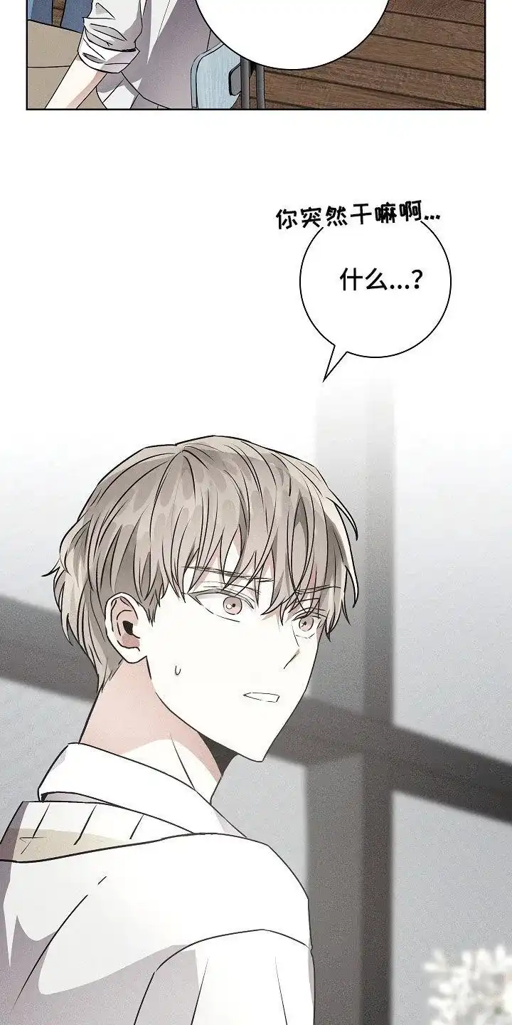 成为皇太子妃 第41话 第33页
