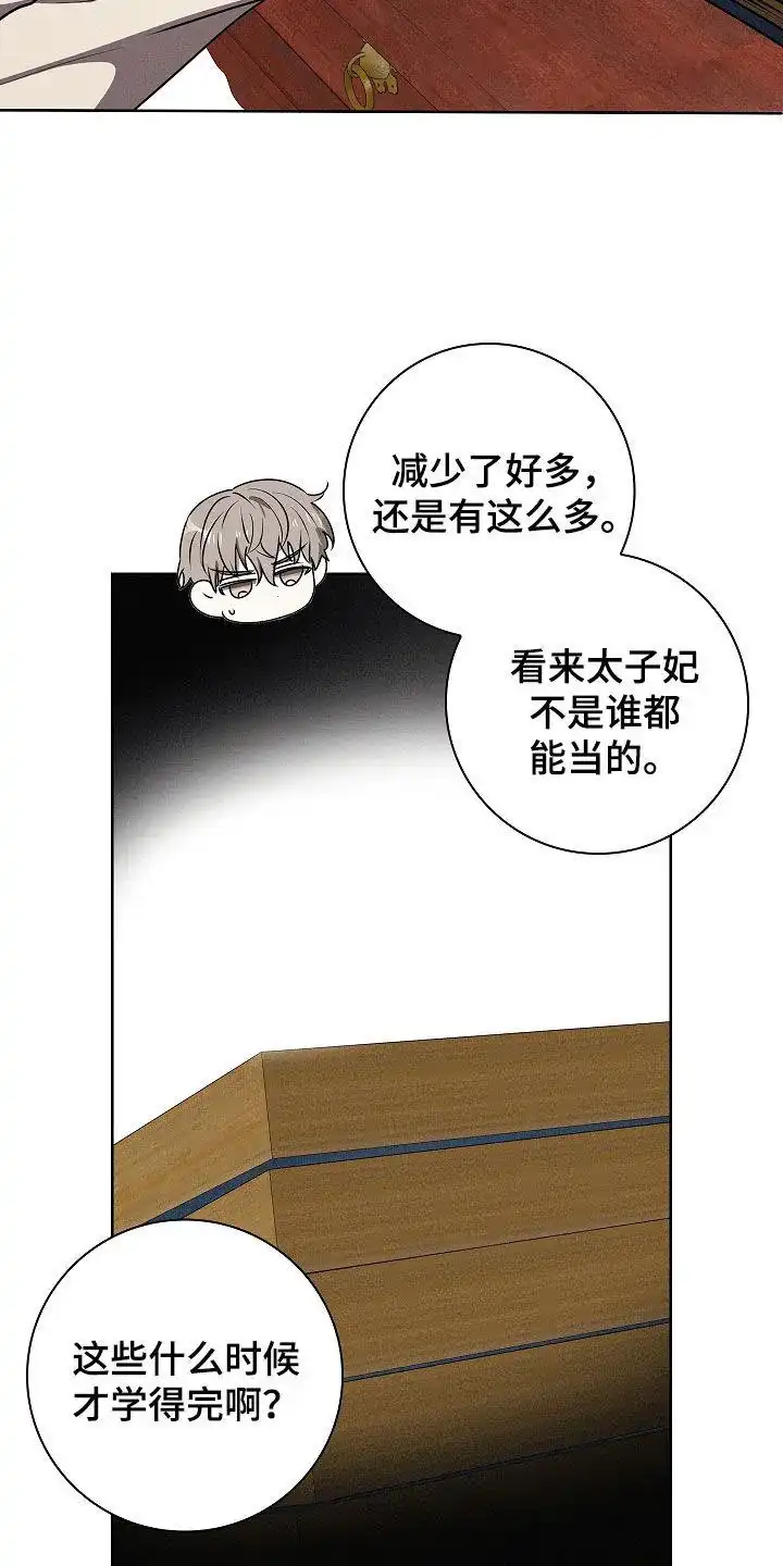 成为皇太子妃 第43话 第5页