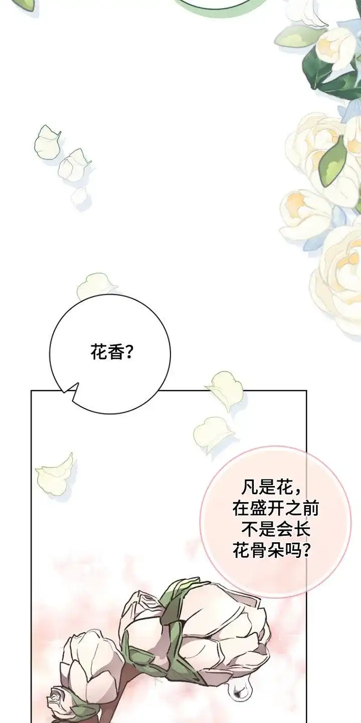 成为皇太子妃 第45话 第13页