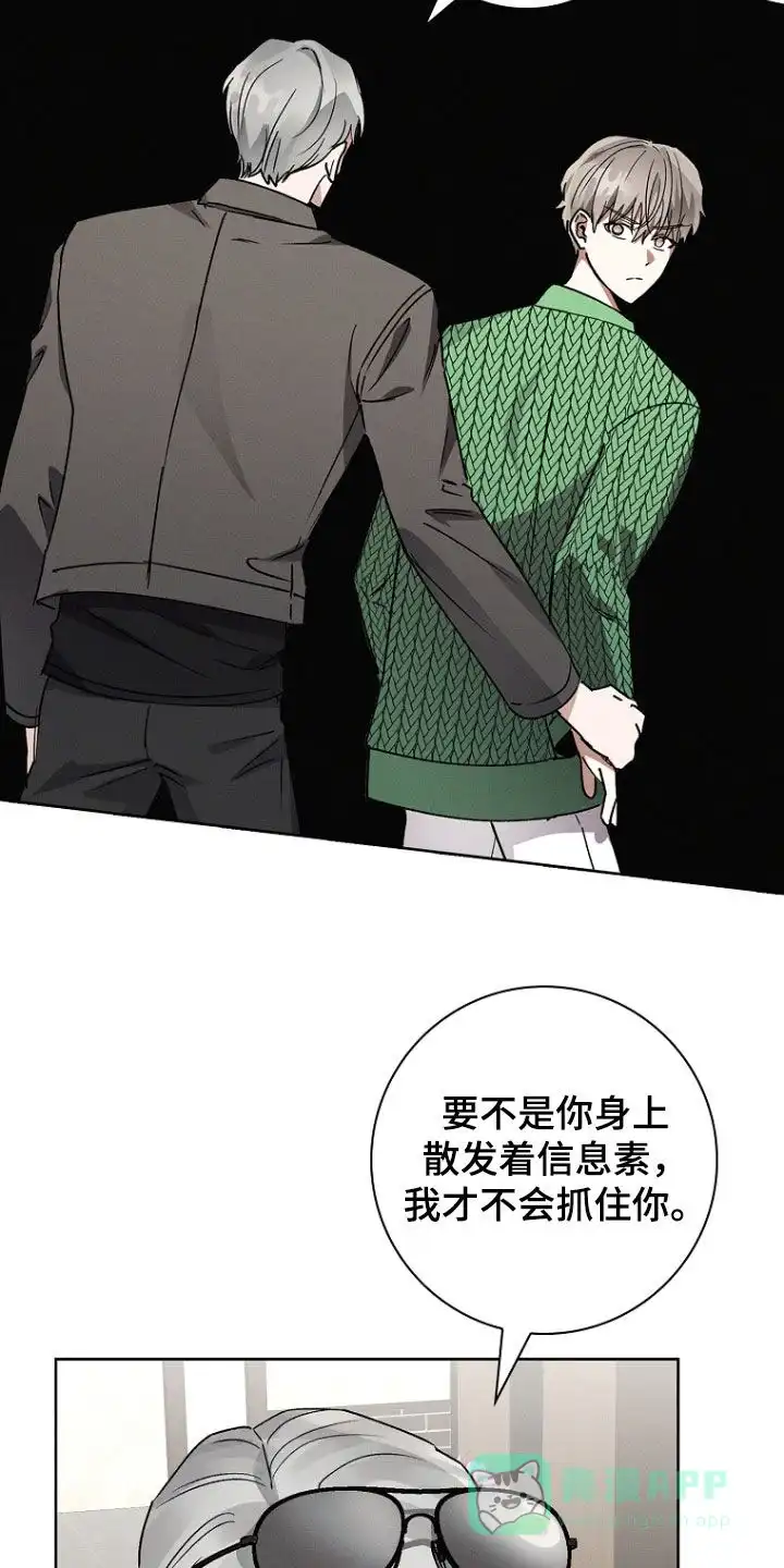 成为皇太子妃 第49话 第11页
