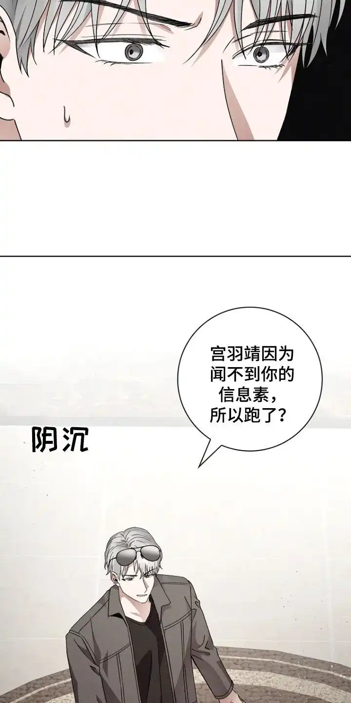 成为皇太子妃 第49话 第14页