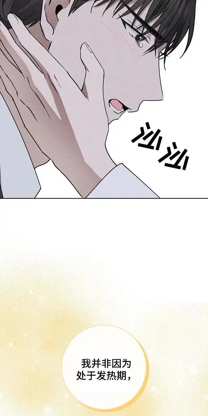 成为皇太子妃 第51话 第17页