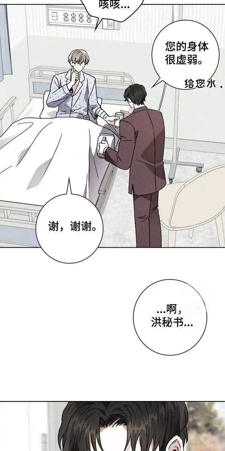 成为皇太子妃 第52话 第13页