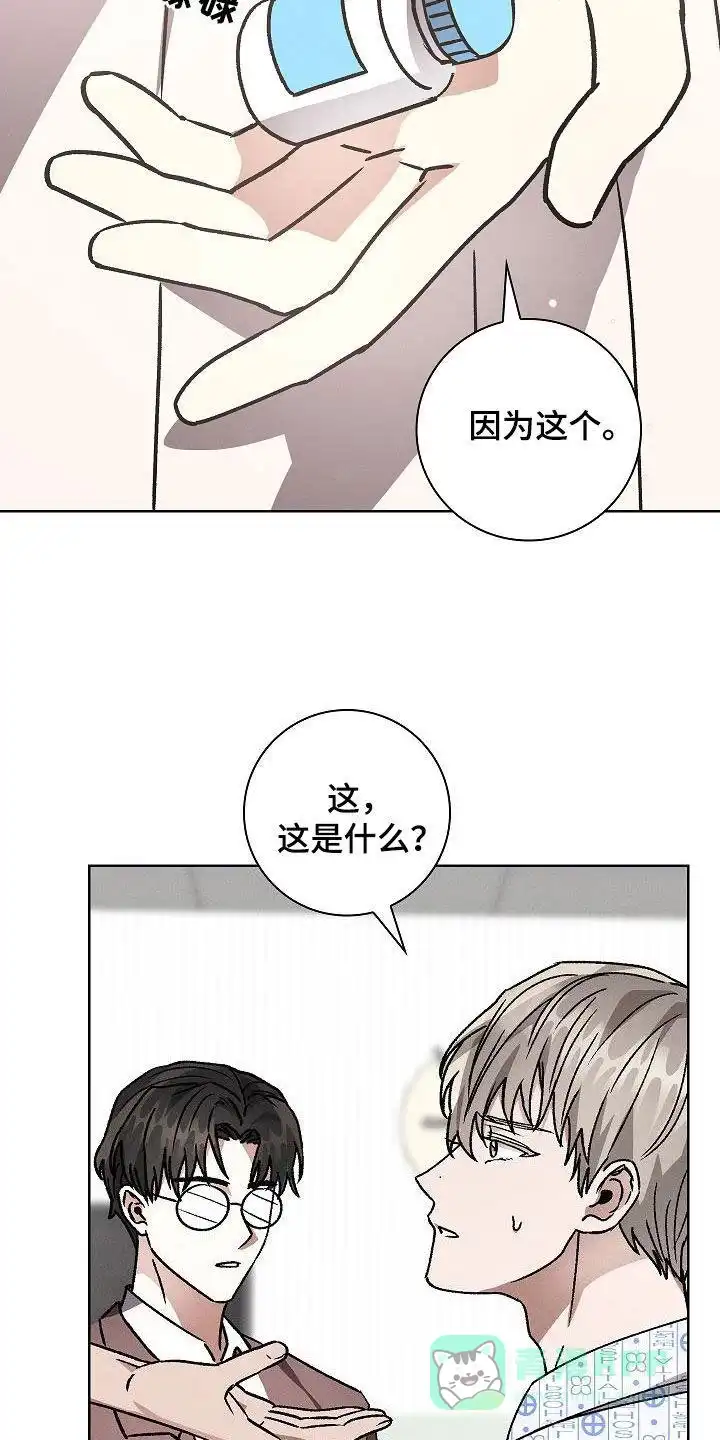 成为皇太子妃 第53话 第11页