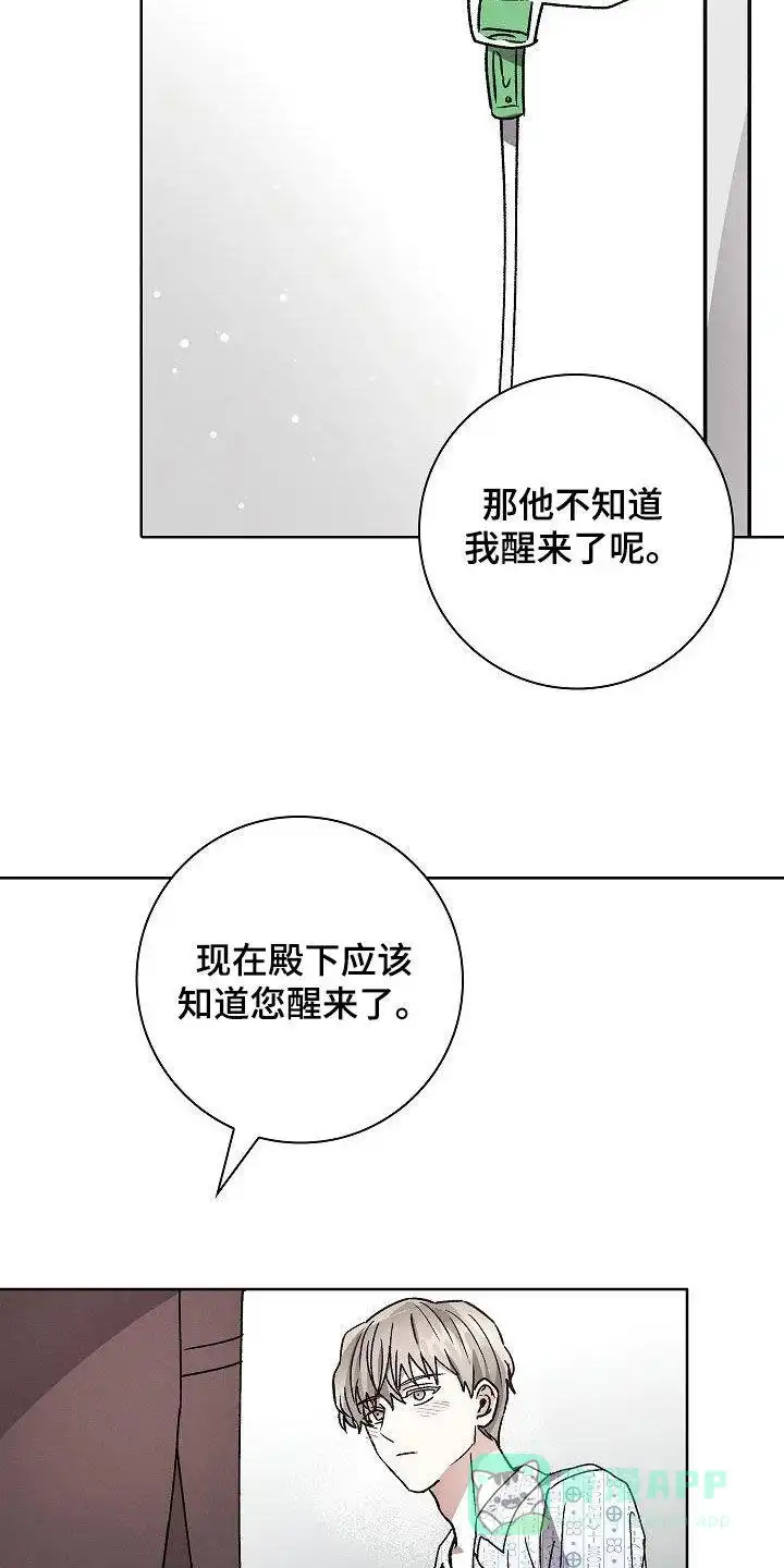 成为皇太子妃 第53话 第21页