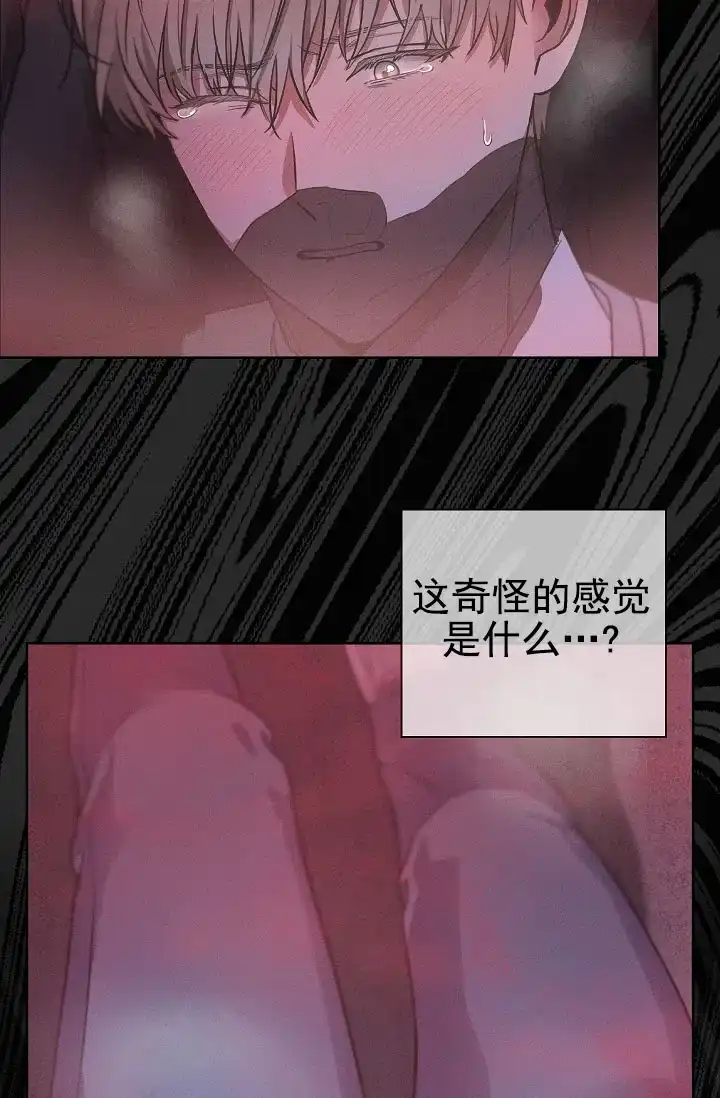 成为皇太子妃 第6话 第27页