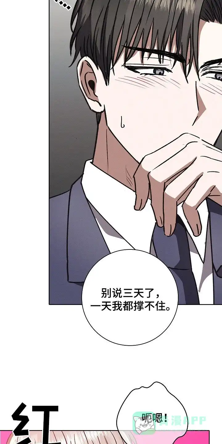 成为皇太子妃 第73话 第31页