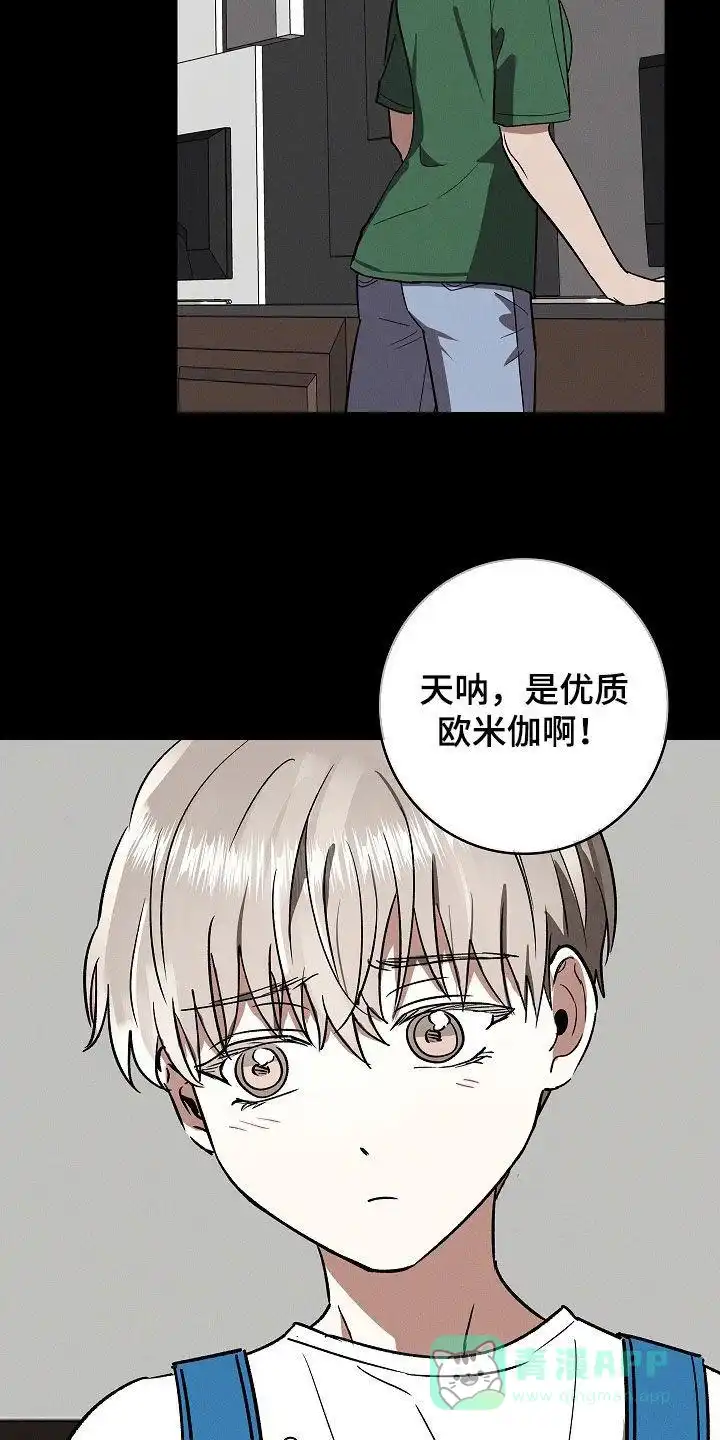 成为皇太子妃 第74话 第31页