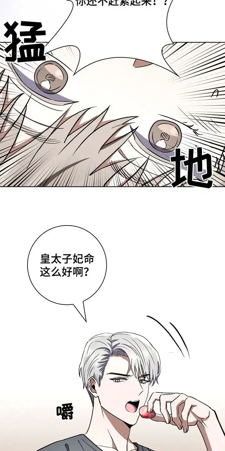 成为皇太子妃 第75话 第32页