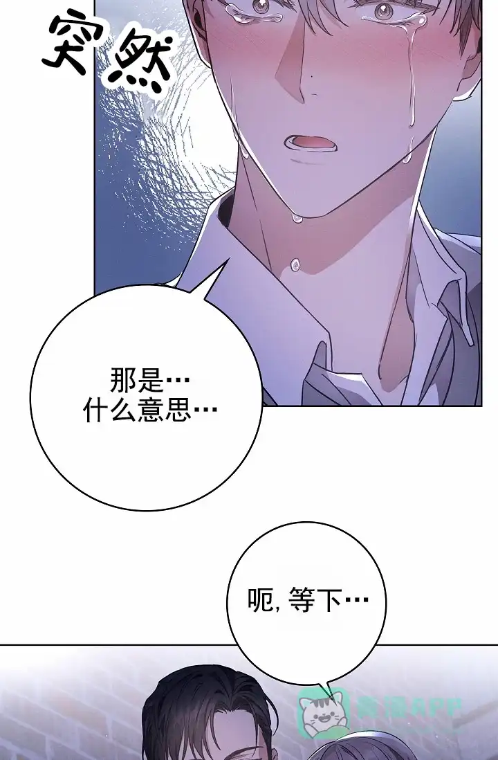 成为皇太子妃 第8话 第11页