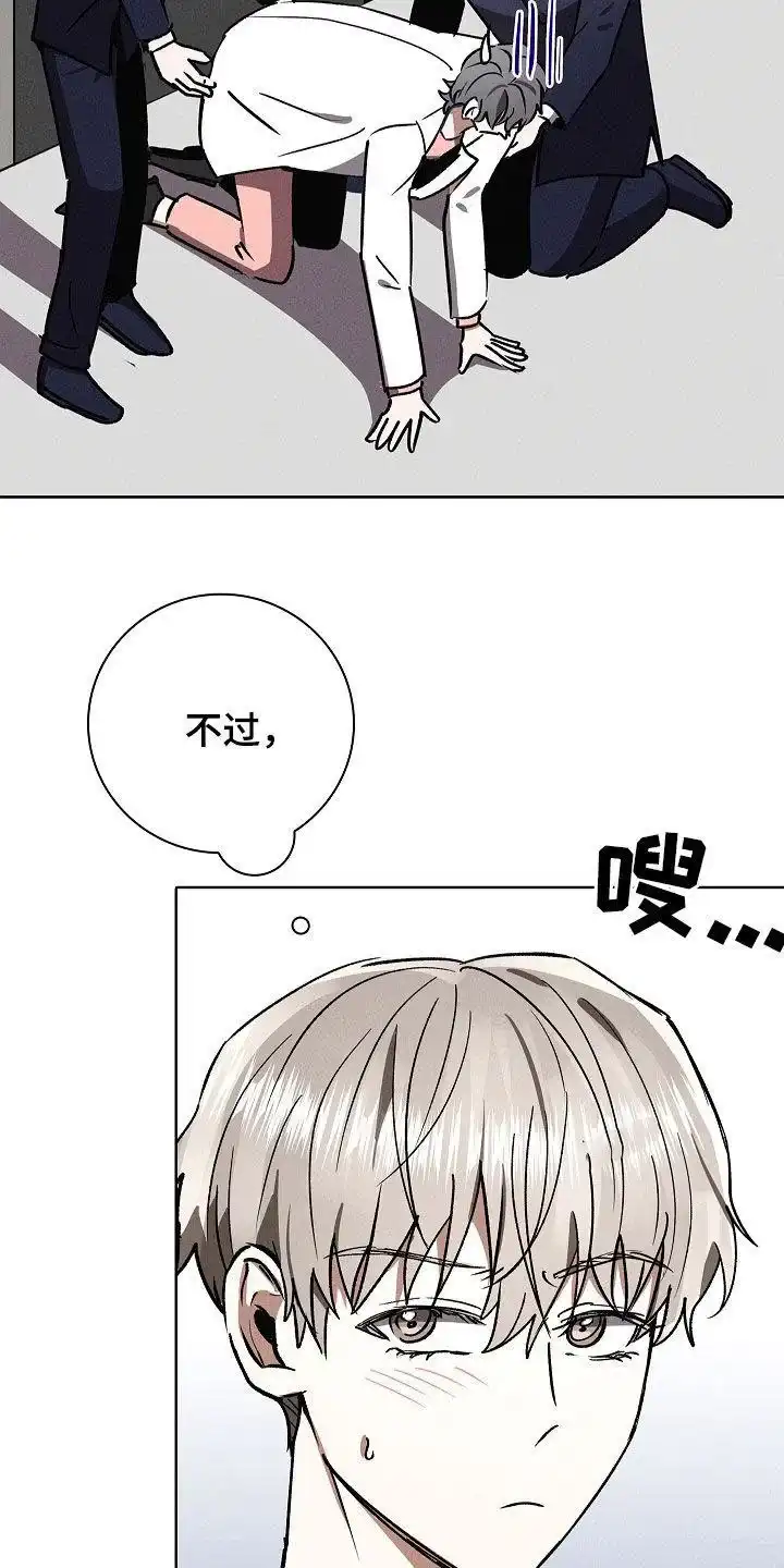 成为皇太子妃 第89话 第9页