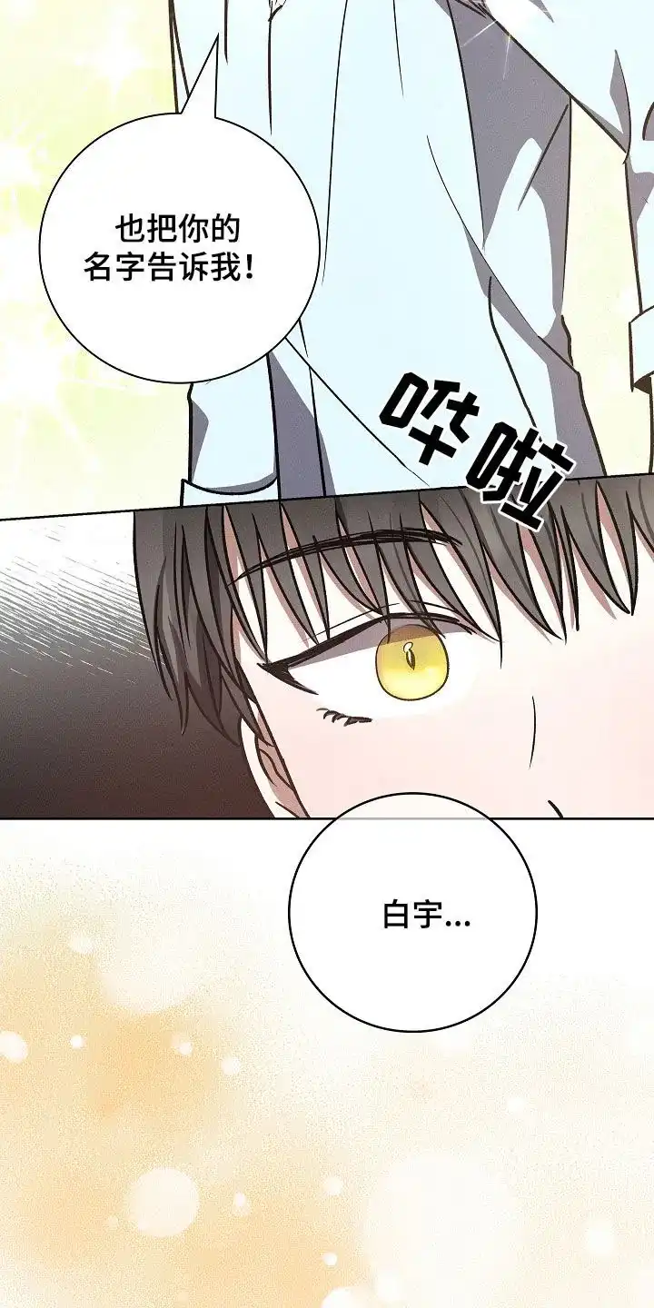 成为皇太子妃 第96话 第4页