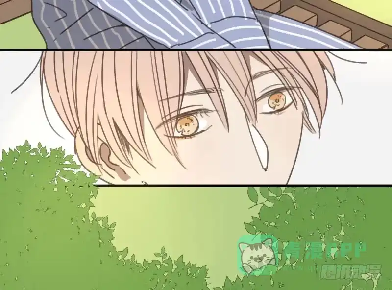 《沉默的色彩》15 第41页