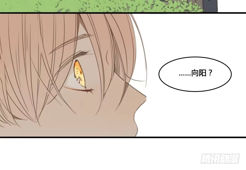 《沉默的色彩》22 第67页