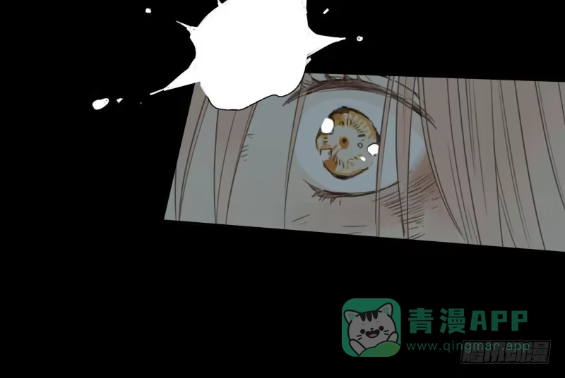 《沉默的色彩》35 第11页