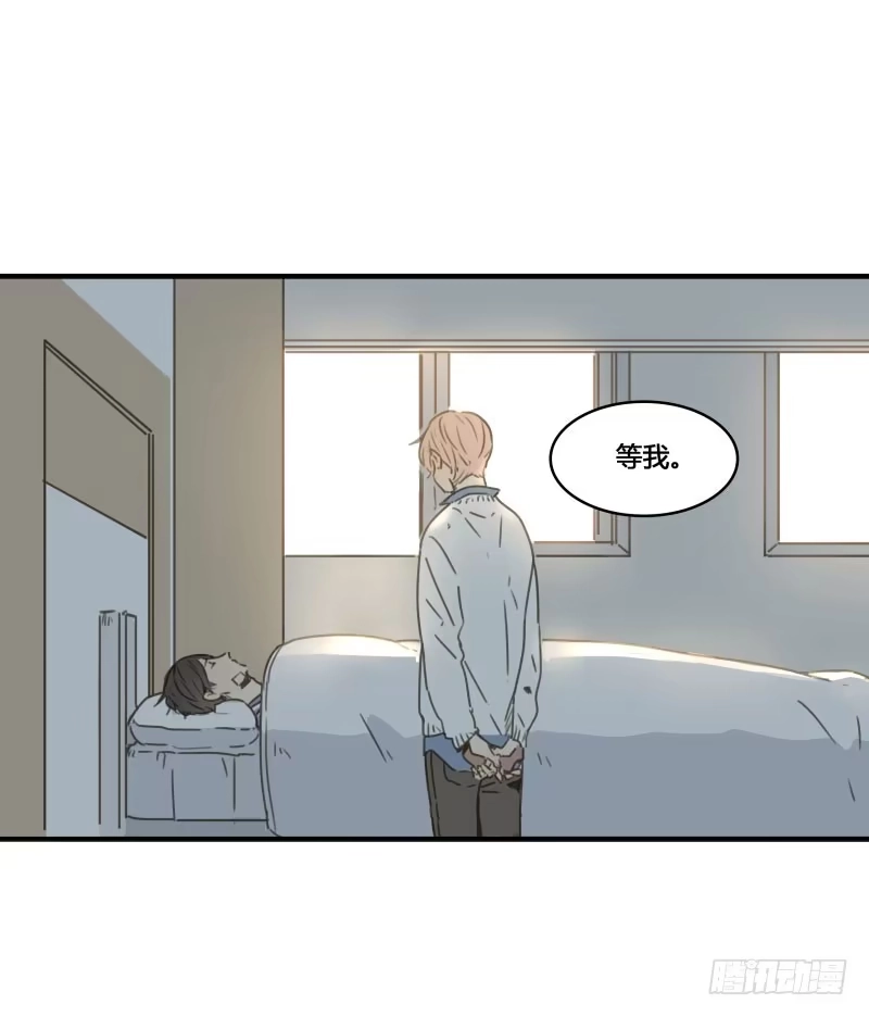 《沉默的色彩》36 第52页