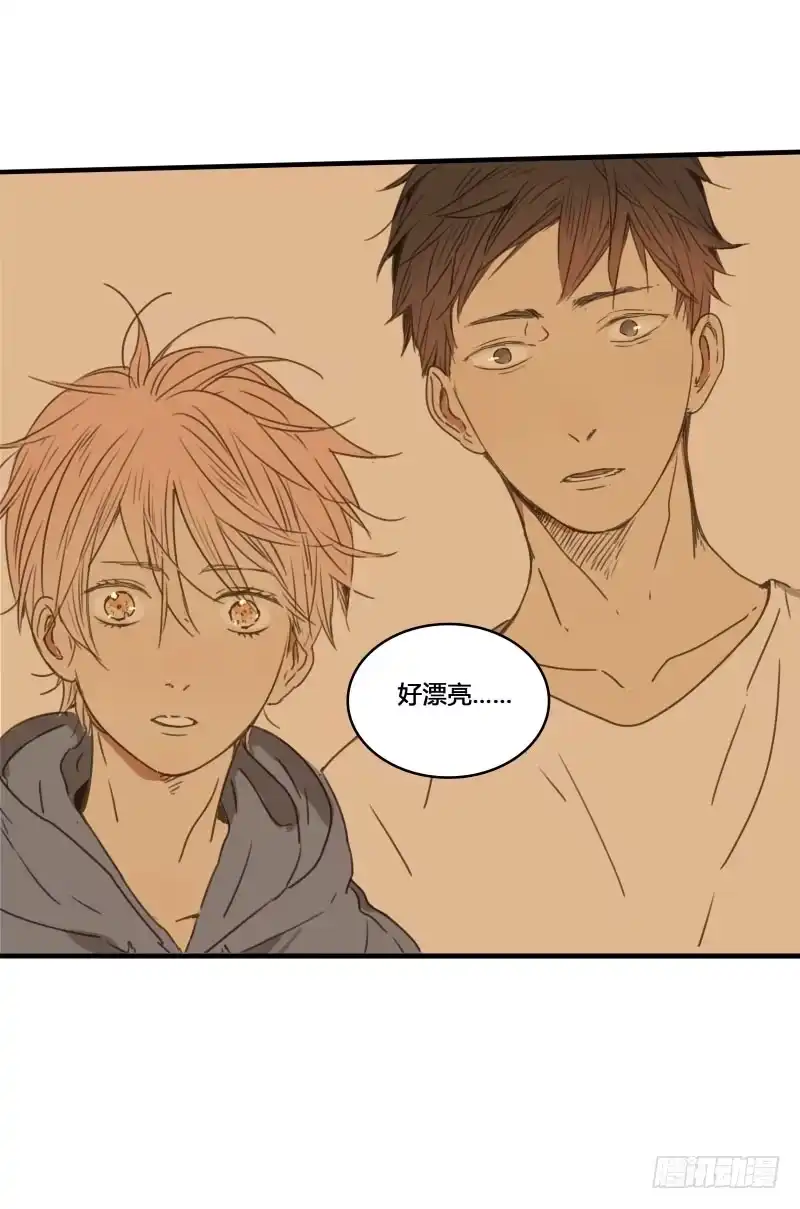 《沉默的色彩》37—最终回 第47页