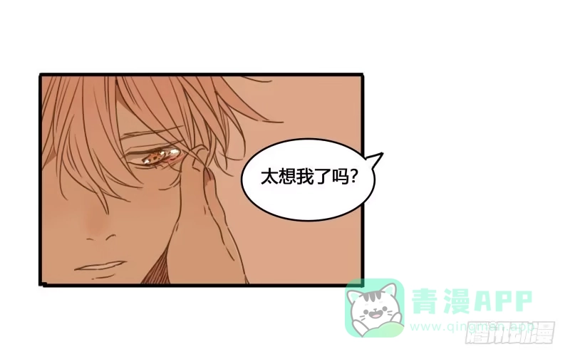 《沉默的色彩》37—最终回 第56页