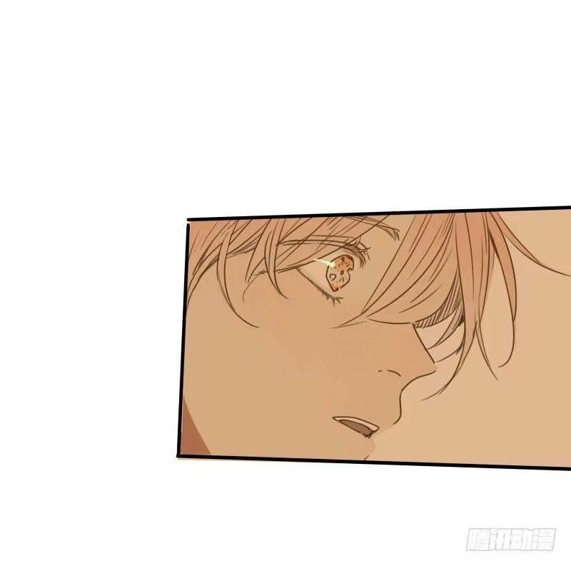 《沉默的色彩》37—最终回 第48页