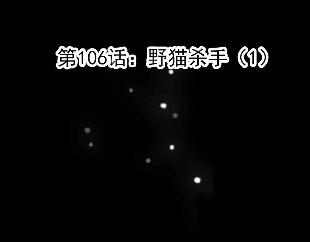《赤色四叶草》第106话 野猫杀手（1） 第21页