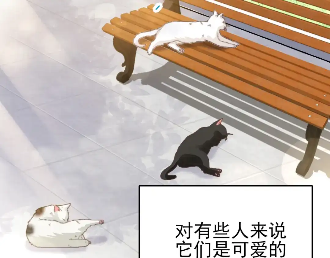 《赤色四叶草》第106话 野猫杀手（1） 第4页