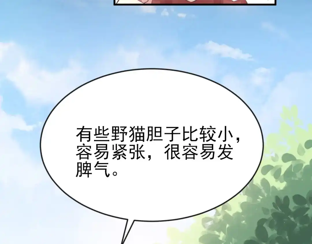 《赤色四叶草》第106话 野猫杀手（1） 第52页