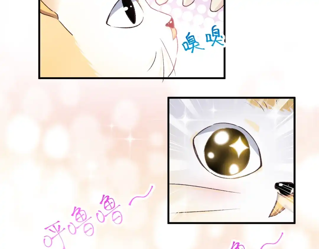《赤色四叶草》第106话 野猫杀手（1） 第58页