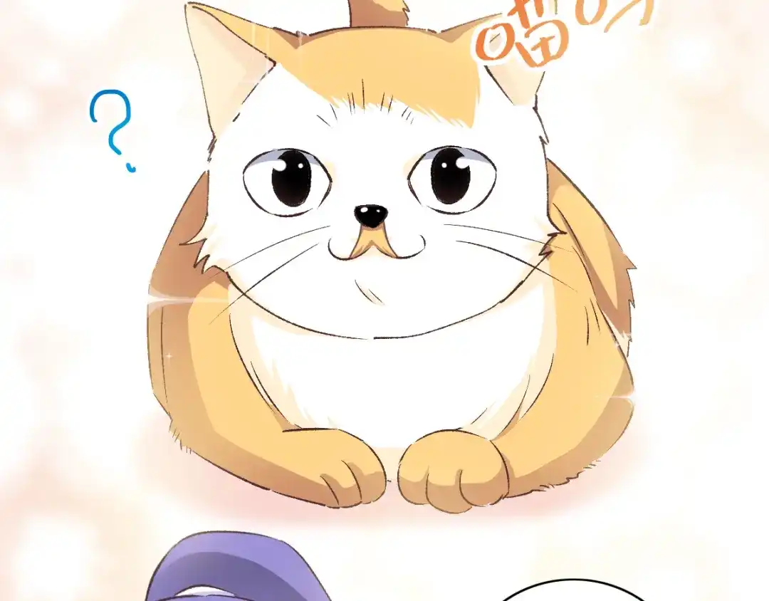 《赤色四叶草》第106话 野猫杀手（1） 第45页